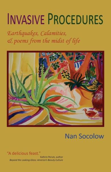 Cover for Nan Socolow · Invasive Procedures (Paperback Book) (2016)