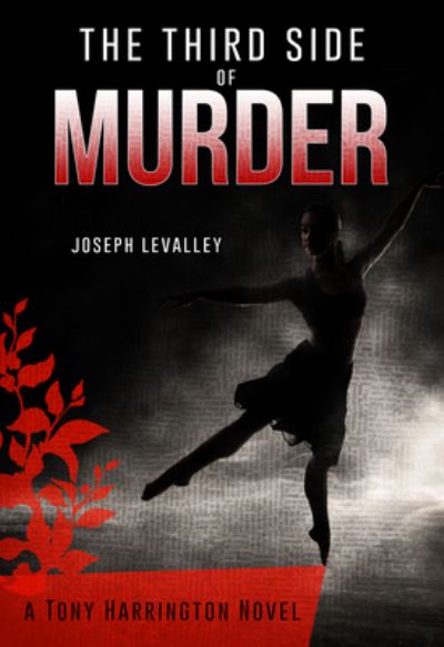 Cover for Joseph Levalley · The Third Side of Murder (Hardcover Book) (2021)