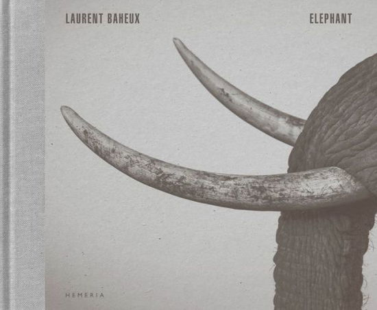 Cover for Laurent Baheux · Elephant (Hardcover Book) (2021)