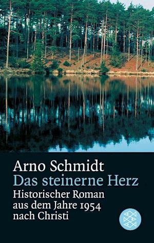 Cover for Arno Schmidt · Das steinerne Herz (Pocketbok) (1991)