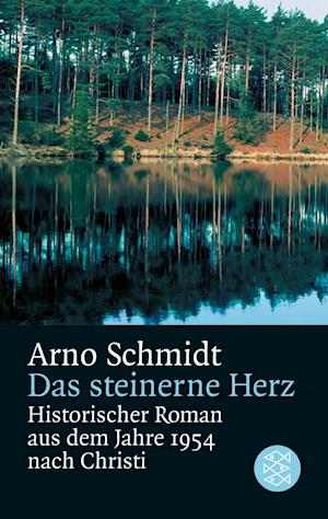 Cover for Arno Schmidt · Das steinerne Herz (Taschenbuch) (1991)