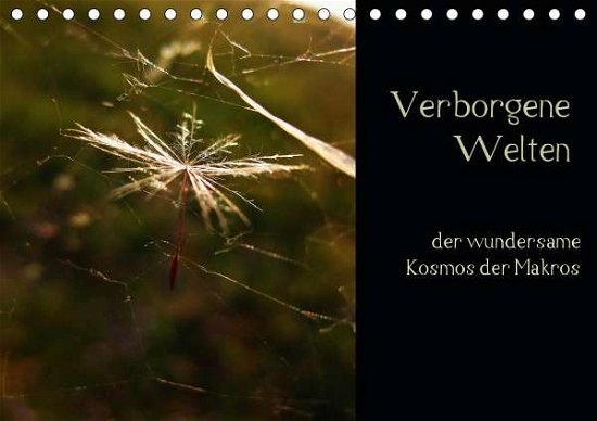 Cover for Crash · Verborgene Welten - der wundersam (Buch)