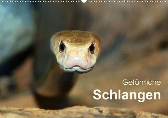 Cover for Herzog · Gefährliche Schlangen (Wandkalen (Bog)