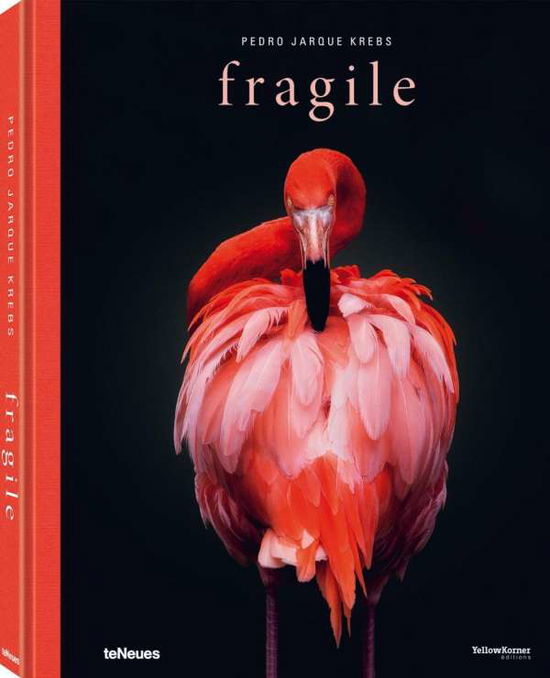 Cover for Pedro Jarque Krebs · Fragile (Hardcover Book) (2019)