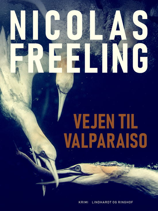 Cover for Nicolas Freeling · Vejen til Valparaiso (Sewn Spine Book) [1st edition] (2024)