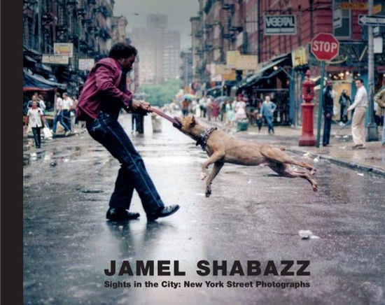 Cover for Jamel Shabazz · Sights in the City: New York Photographs (Hardcover Book) (2017)