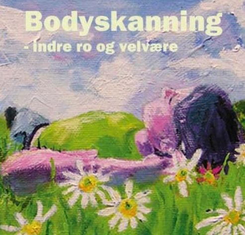 Cover for Stig Seberg · Bodyskanning (CD) (2013)