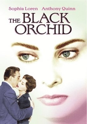 Cover for Black Orchid (DVD) (2019)