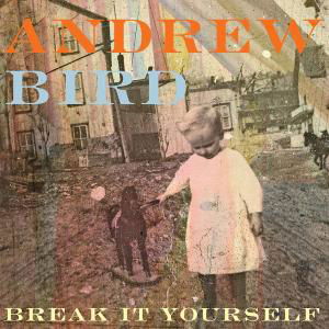 Cover for Andrew Bird · Break It Yourself (CD) (2012)