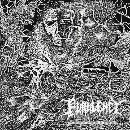 Transcendent Unveiling of Dimensions - Purulency - Música - PULVERISED - 0803341604230 - 5 de abril de 2024