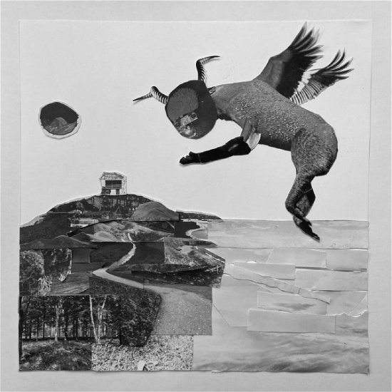 Cover for Romare · Fantasy (Eco) (LP) (2023)