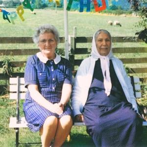 Cover for Dauwd · Theory of Colours (LP) [Standard edition] (2017)