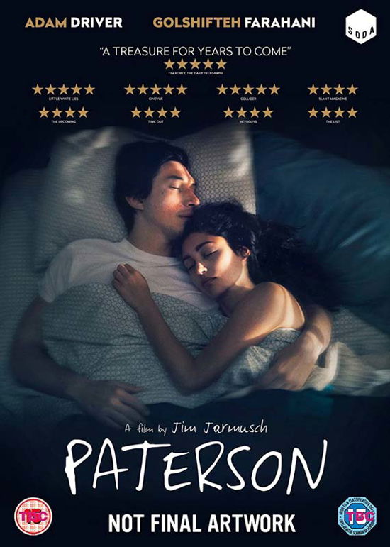 Cover for Patterson · Paterson (DVD) (2017)