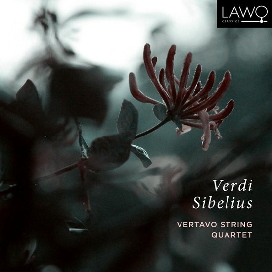 Cover for Vertavo String Quartet · Verdi / Sibelius (CD) (2020)