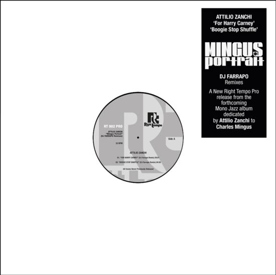 Cover for Attilio Zanchi · Mingus Portrait (DJ Farrapo Remixes) (LP) (2024)