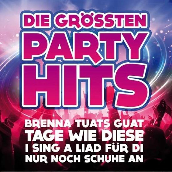 Die Grossten Partyhits - V/A - Musik - MCP - 9002986469230 - 16. august 2013