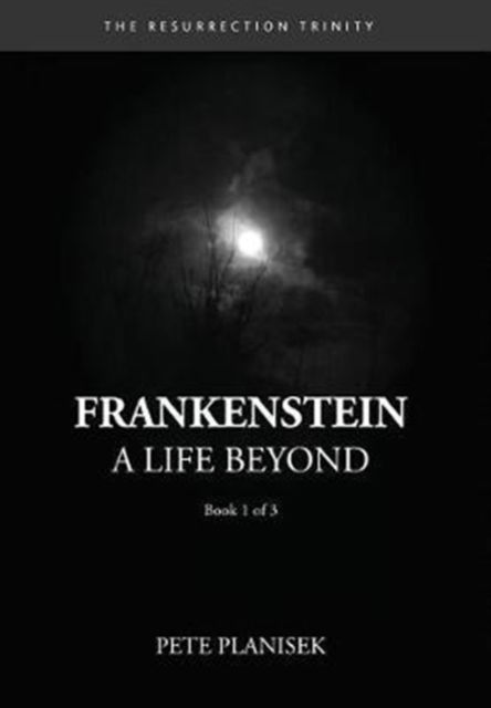 Cover for Pete Planisek · Frankenstein A Life Beyond (Hardcover Book) (2017)