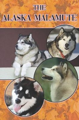 Cover for Michael Stonewood · The Alaska Malamute (Paperback Book) (2019)