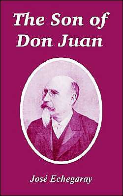 The Son of Don Juan - Jose Echegaray - Books - Fredonia Books (NL) - 9781410106230 - June 15, 2004