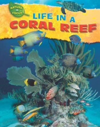 Cover for Jen Green · Life in a coral reef (Book) (2010)