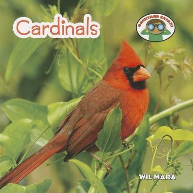 Cover for Wil Mara · Cardinals (Backyard Safari) (Paperback Book) (2014)