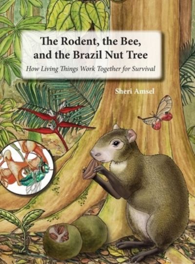 Cover for Sheri Amsel · The Rodent, the Bee, and the Brazil Nut Tree: How Living Things Work Together for Survival (Hardcover Book) (2022)