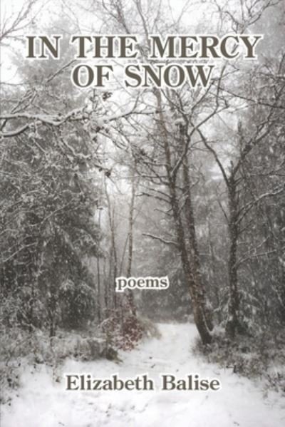 Cover for Elizabeth Balise · In the Mercy of Snow (Pocketbok) (2021)