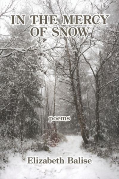 In the Mercy of Snow - Elizabeth Balise - Books - Kelsay Books - 9781639800230 - September 29, 2021