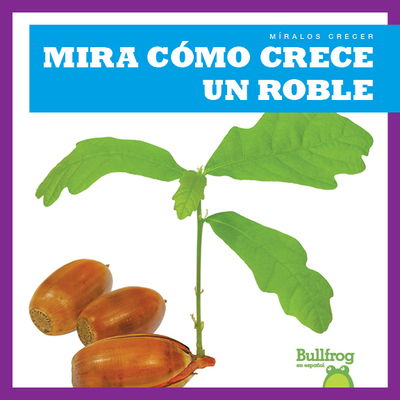 Cover for Kirsten Chang · Mira c?mo crece un roble (Hardcover Book) (2019)