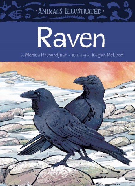 Cover for Monica Ittusardjuat · Animals Illustrated: Raven - Animals Illustrated (Inbunden Bok) (2024)