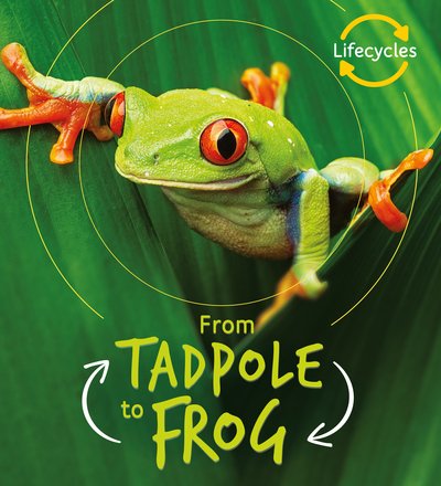 Cover for Camilla De La Bedoyere · Lifecycles: Tadpole to Frog - LifeCycles (Paperback Bog) (2019)