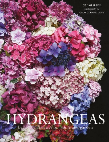 Cover for Naomi Slade · Hydrangeas: Beautiful Varieties for Home and Garden (Hardcover Book) (2020)