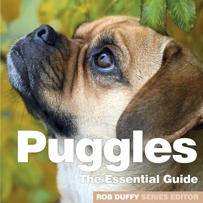 Cover for Puggles: The Essential Guide (Paperback Book) (2020)