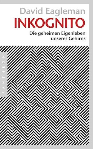 Cover for Eagleman · Inkognito (Bog)
