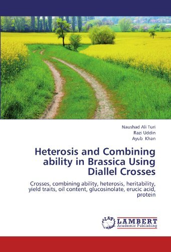 Cover for Ayub Khan · Heterosis and Combining Ability in Brassica Using Diallel Crosses: Crosses, Combining Ability, Heterosis, Heritability, Yield Traits, Oil Content, Glucosinolate, Erucic Acid, Protein (Pocketbok) (2012)