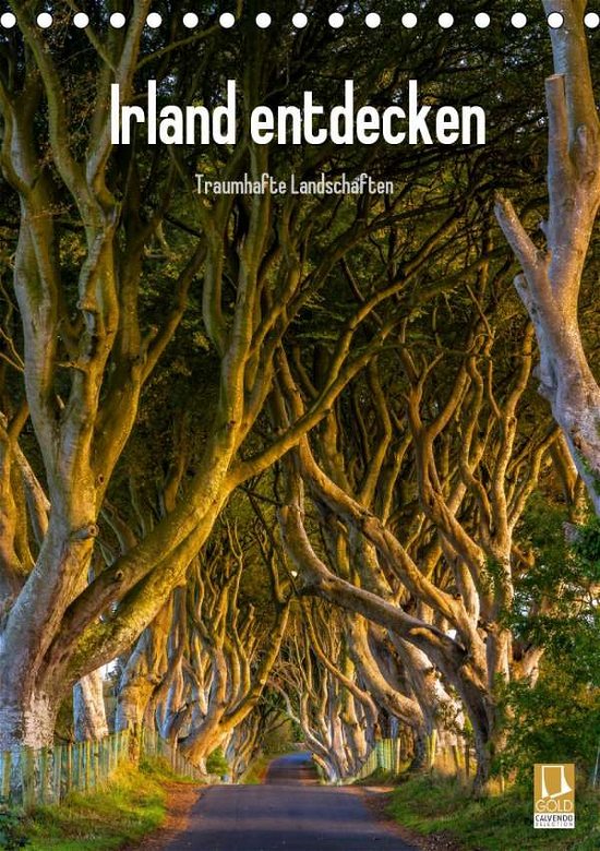 Cover for Ringer · Irland entdecken (Tischkalender (Book)