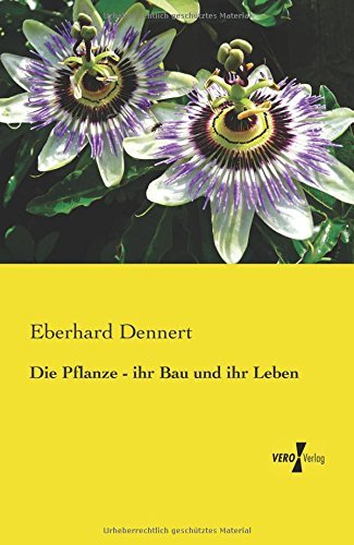 Cover for Eberhard Dennert · Die Pflanze - ihr Bau und ihr Leben (Paperback Book) [German edition] (2019)