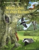 Cover for Ilka Sokolowski · Wildes Leben in alten Bäumen (Book) (2025)