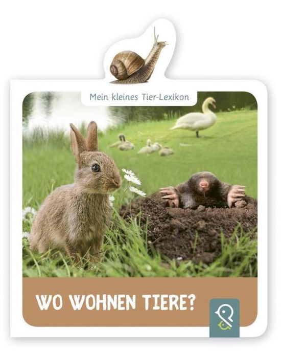 Cover for Kastenhuber · Wo wohnen Tiere? (Book)