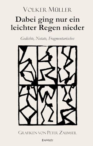 Cover for Volker Müller · Dabei ging nur ein leichter Regen nieder (Book) (2024)