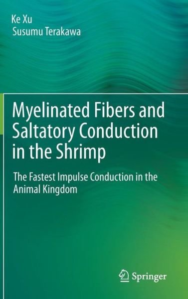 Cover for Ke Xu · Myelinated Fibers and Saltatory Conduction in the Shrimp: The Fastest Impulse Conduction in the Animal Kingdom (Innbunden bok) (2013)