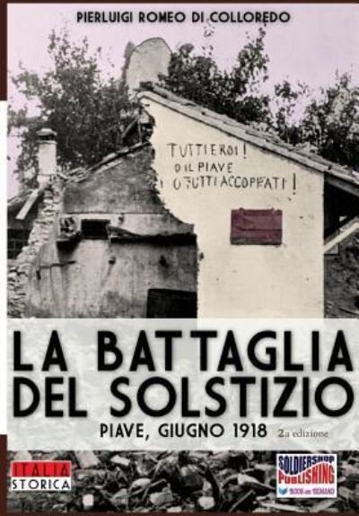 Cover for Pierluigi Romeo Di Colloredo Mels · La battaglia del Solstizio (Paperback Book) (2017)