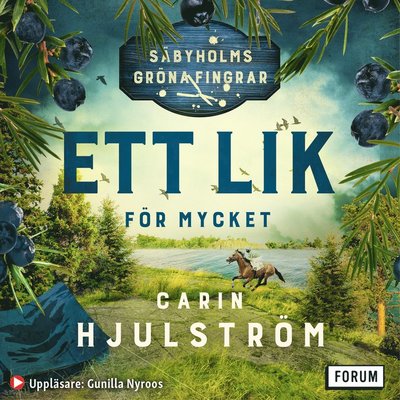 Cover for Carin Hjulström · Ett lik för mycket (CD) (2022)