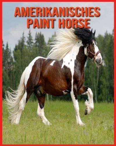 Cover for Annie Nichols · Amerikanisches Paint Horse (Paperback Book) (2021)