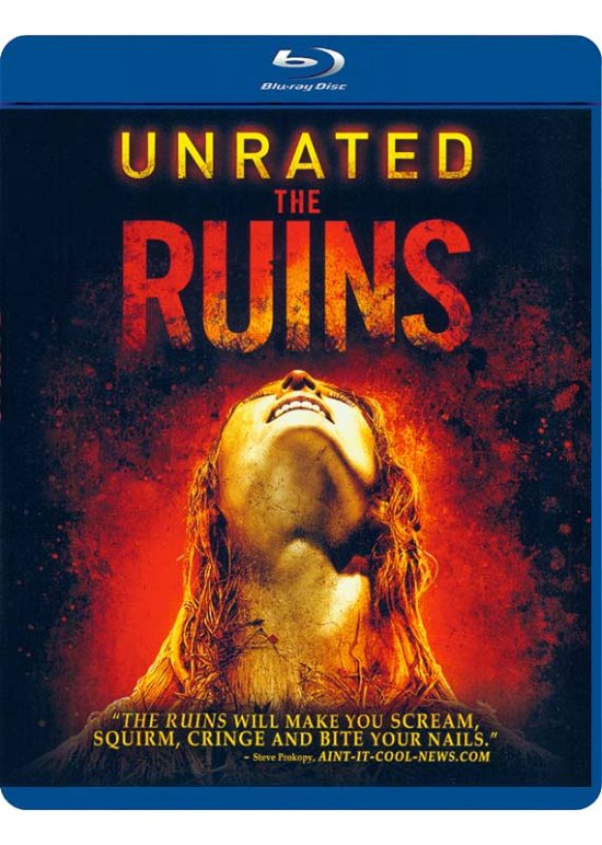 Cover for Ruins (Blu-ray) (2017)