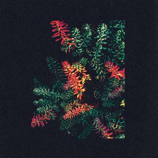 Cover for Dark Sky · Othona (LP) (2017)