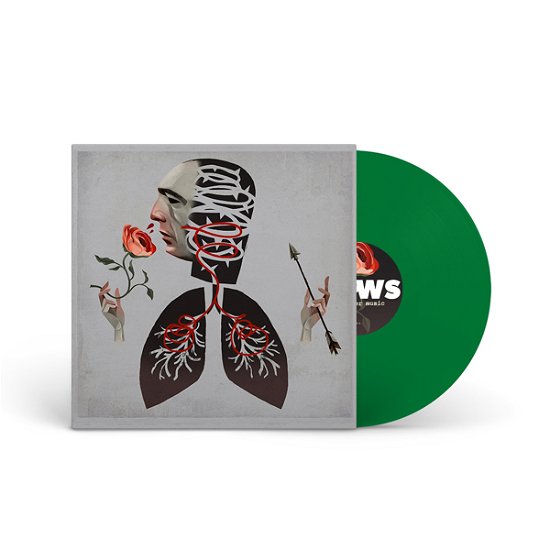 Vows (Leaf Green Vinyl) - Hot Water Music - Musiikki - END HITS - 4059251628231 - perjantai 7. kesäkuuta 2024