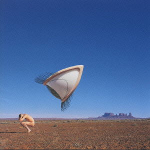 Cover for The Cranberries · Bury the Hatchet + 1 (CD) (1999)