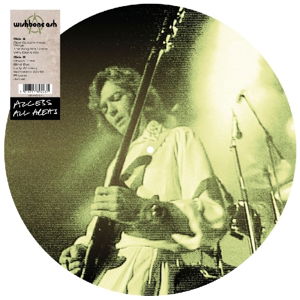 Cover for Wishbone Ash · Access All Areas (VINYL) [Picture Disc edition] (2016)