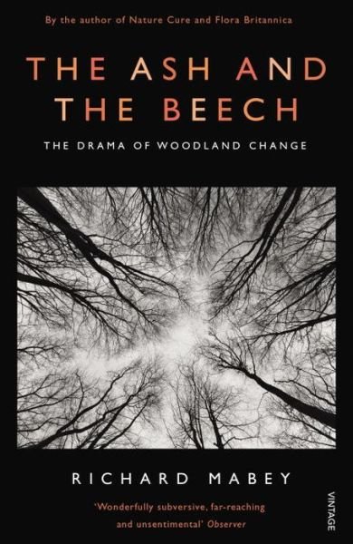 Cover for Richard Mabey · The Ash and The Beech: The Drama of Woodland Change (Pocketbok) [Revised edition] (2013)